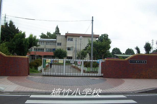 Other. Uetake Elementary School 7 minutes
