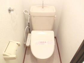 Toilet. Same type