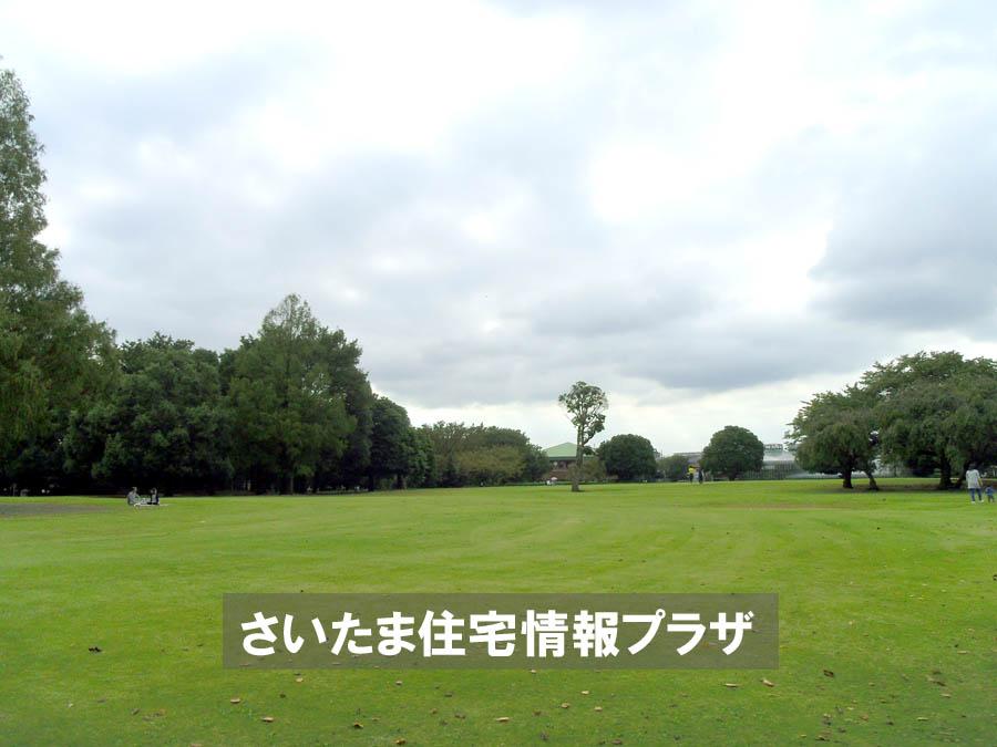 Other. Forest of citizens