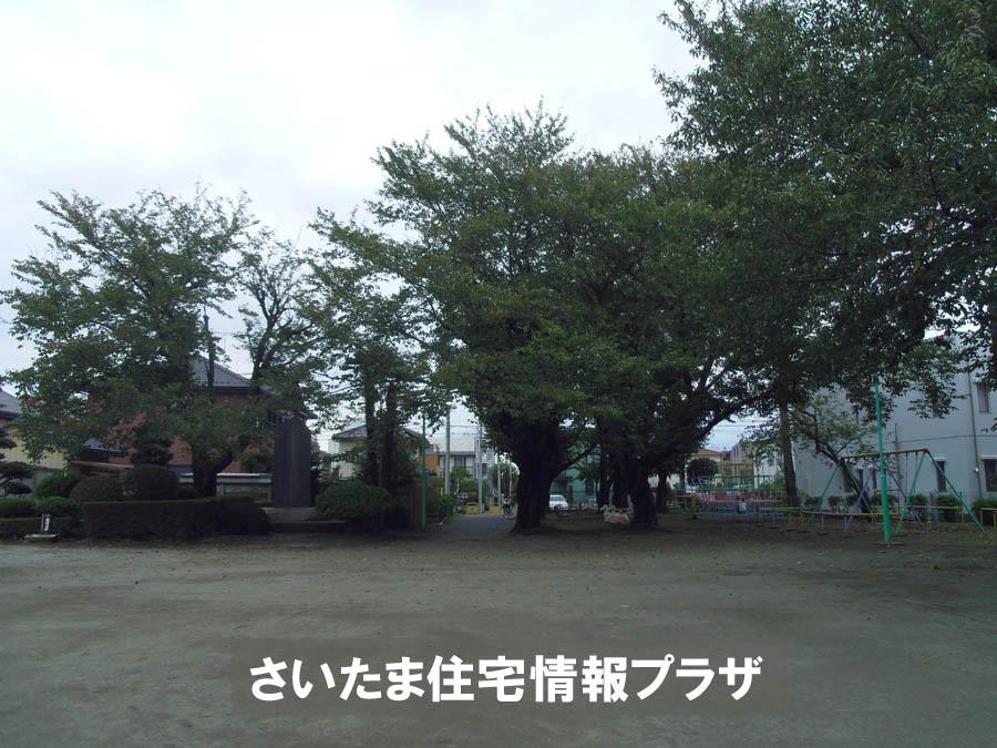 Other. Centrist park