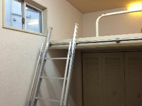 Living and room. Various use with loft