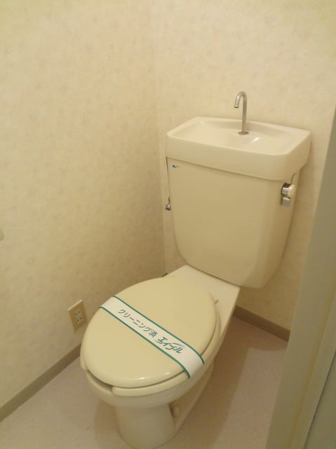 Toilet. Toilet with cleanliness