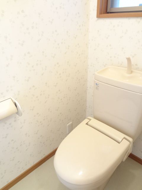 Toilet. Clean toilets!