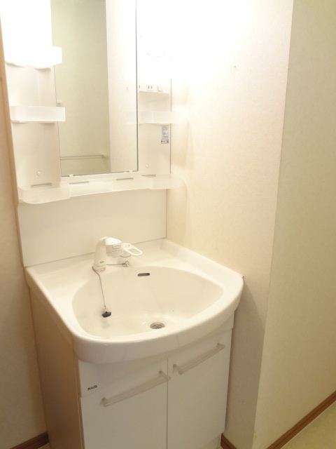 Washroom. Convenient Shampoo dresser!