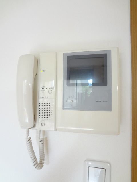 Security. TV monitor phone!