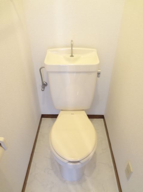 Toilet. Clean, great toilet.