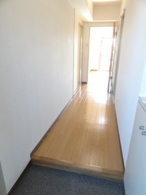 Entrance. Hallway from the entrance