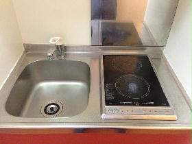 Kitchen. Type with electric stove 2-neck