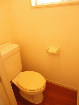 Toilet. Western-style flush toilet