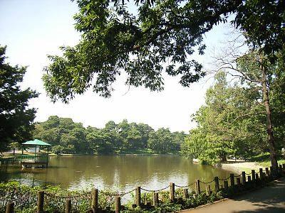 park. To Omiya Park 1600m walk about 20 minutes ■ Area whopping 67.9ha park! Museum, Zoo, amusement parkese garden, etc., Soccer field and baseball field, Swimming field, Athletics stadium, Archery field, gymnasium, Also enhance physical education facilities such as Omiya twin wheel field (velodrome).