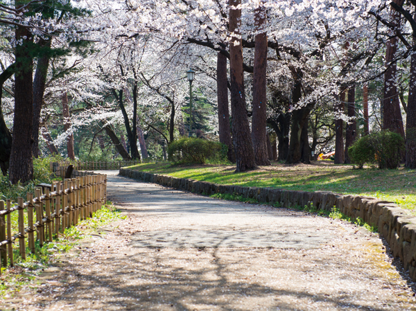 Surrounding environment. Omiya Park (8-minute walk ・ About 640m)