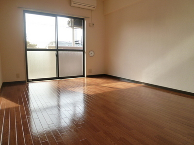 Living and room. Spacious living room