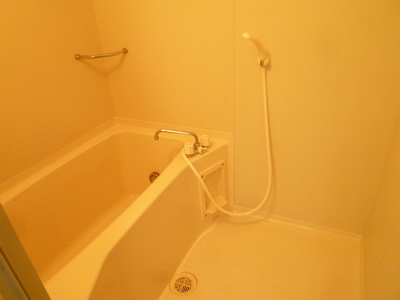 Bath. Bathroom with reheating