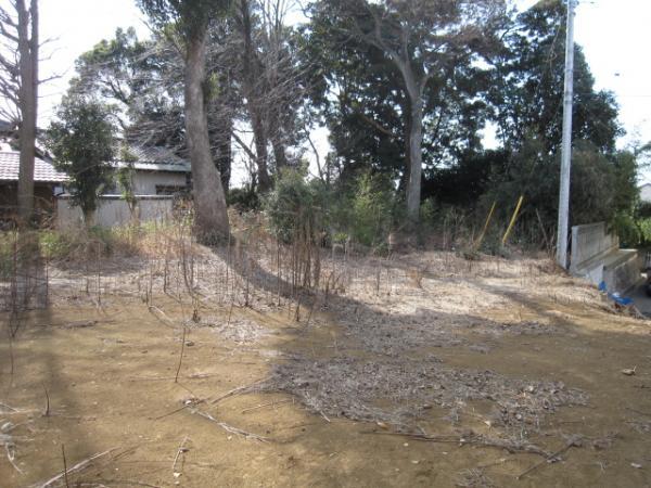 Local land photo