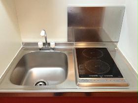 Kitchen. Type with electric stove 2-neck