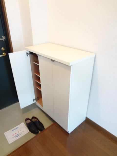 Entrance. Also it comes with a shoebox in the entrance. 