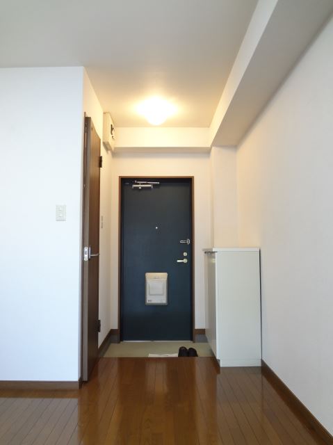 Entrance. Entrance is very wide. 