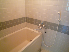 Bath. Bathing with reheating