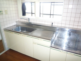 Kitchen. Face-to-face kitchen