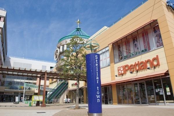 Shopping centre. 1207m to Stella Town