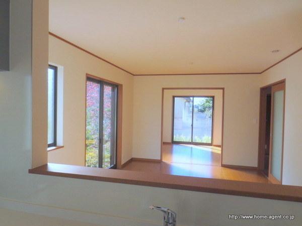 Living. The view from the kitchen