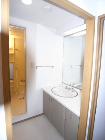 Washroom. Wash basin