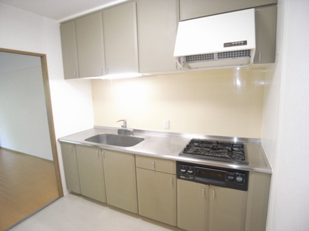 Kitchen. System kitchen