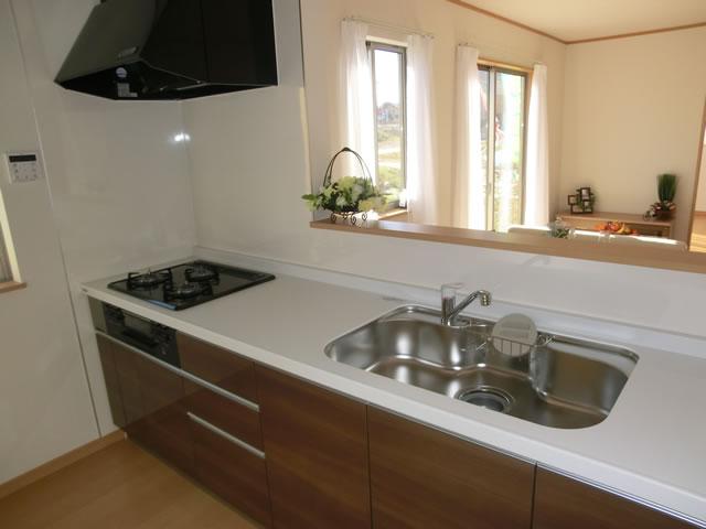 Kitchen. Indoor (11 May 2013) Shooting