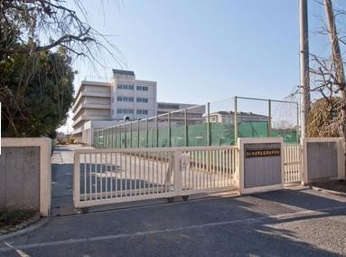 Junior high school. Oma tree junior high school 6 mins