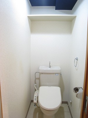 Toilet. Stylish toilet accent cross the ceiling ◎