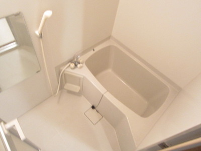 Bath. Mirror with the bathroom