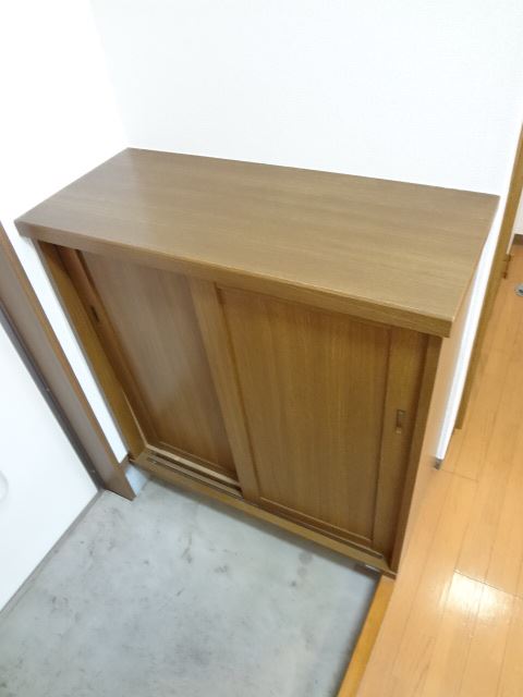 Other. Entrance will be clean because there is a shoe box.