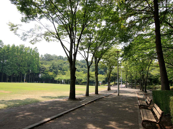 Surrounding environment. Fraud mountain Memorial Park (about 5380m)