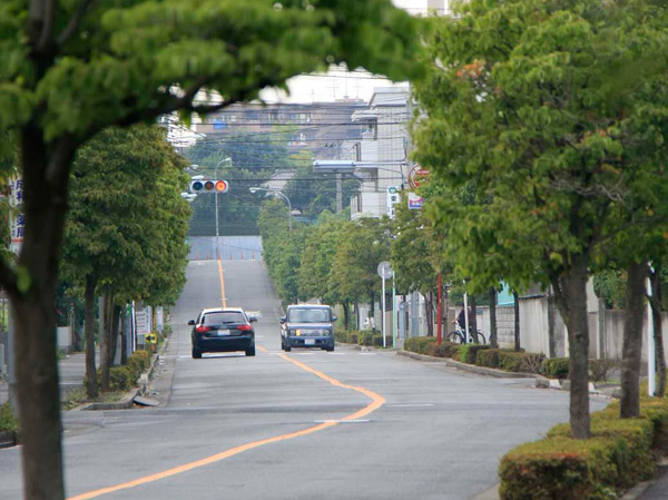 Surrounding environment. Dogwood Street (about 180m / A 3-minute walk)