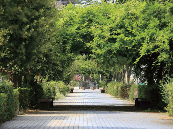 Surrounding environment. School road of babbling promenade of the peace of mind that has been walking cars separated into elementary school (2-minute walk ・ About 130m). Same property to birth in a quiet residential area of ​​elementary and junior high school are aligned in a 6-minute walk. Many dotted with park, You can send a healthy every day.