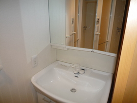 Washroom. Bathroom vanity