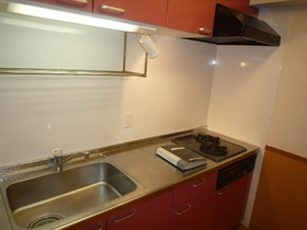 Kitchen. With system Kitchen