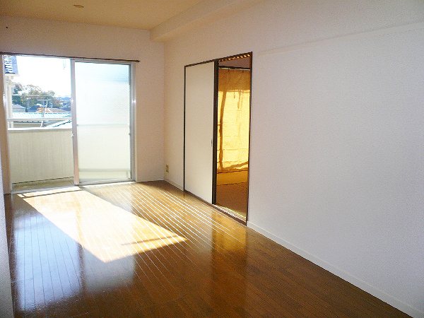 Living and room. Indoor reference photograph