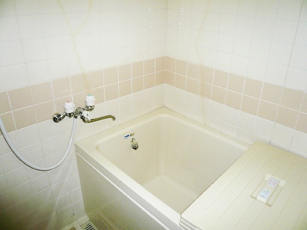 Bath. Indoor reference photograph