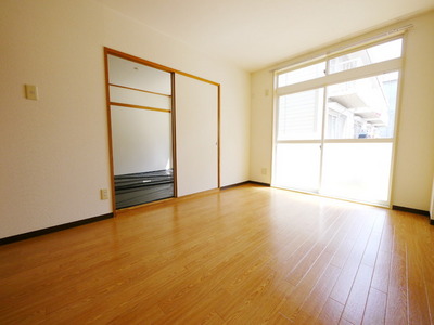 Living and room. Living sunny