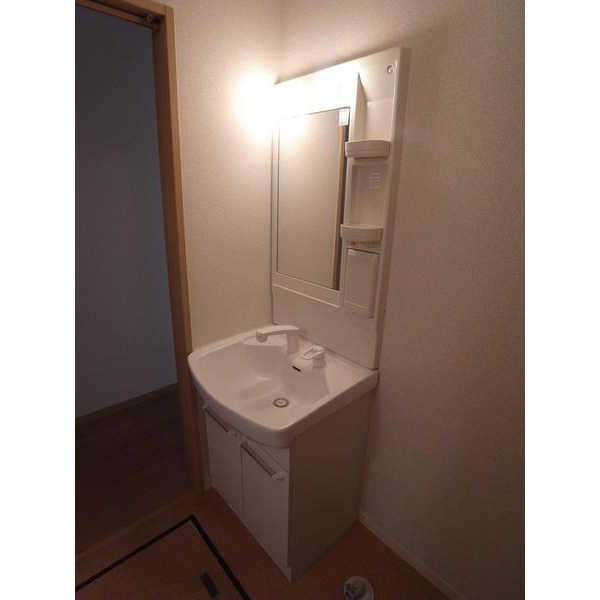 Washroom. Shampoo dresser