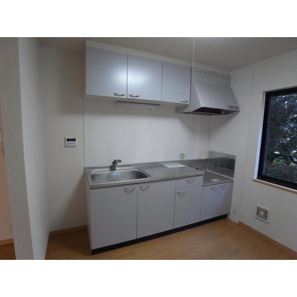 Kitchen. Gas stove installation Allowed