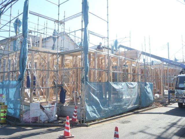 Local appearance photo. 11 / 8 shooting