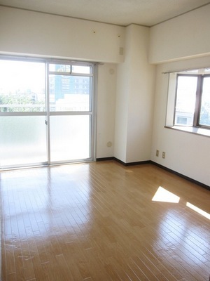 Living and room. Two-sided lighting of the bright rooms!