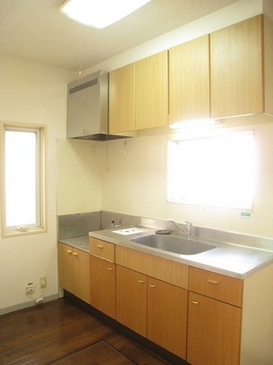 Kitchen. Gas stove installation Allowed spacious kitchen