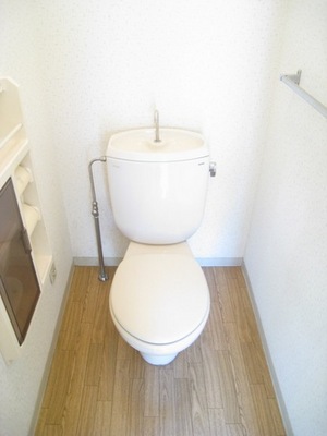 Toilet. Storage rack is nice toilet