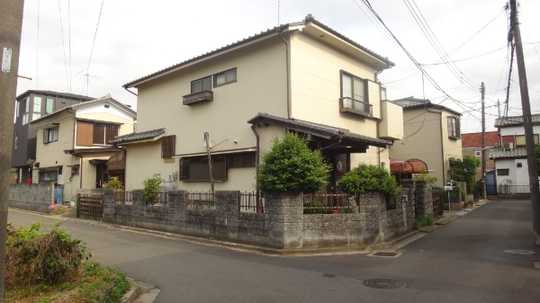 Local land photo. Appearance 1