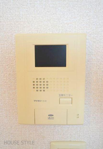 Security. Pat security with a TV monitor Hong