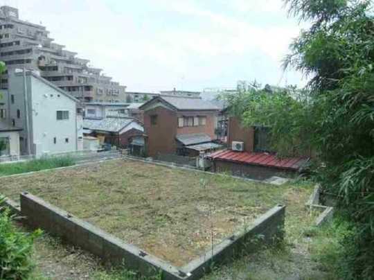 Local land photo. appearance