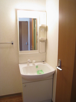 Washroom. Convenient shampoo dresser also busy morning